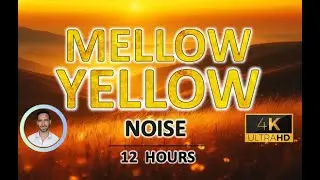 Soothing Mellow Yellow Noise for Deep Sleep | 12 Hours | BLACK SCREEN | Tinnitus & Anxiety Relief