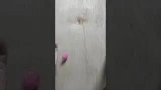 Reverse Video #reverse #viral #shorts