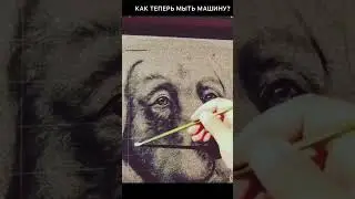 КАК ТЕПЕРЬ МЫТЬ МАШИНУ? 