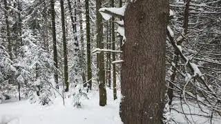 Новогодний снегопад