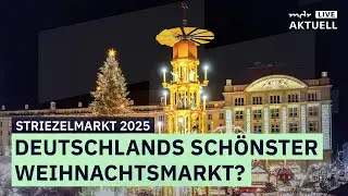 Dresdner Striezelmarkt 2025 Highlights & Geheimtipps! MDR AKTUELL live