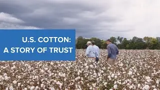 U.S. Cotton: A Story of Trust | Gildan