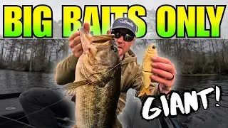 Catching a GIANT Bass on a 7″ Glidebait (Big Swimbait Only)