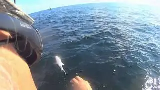 Big One Didn't Get Away