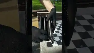 Барсетка из живота кожи крокодила черная