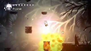 Hollow Knight - Perfect Dodge