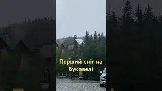 12 ноября 2023 г.