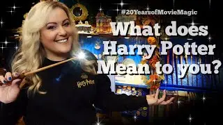 WHAT DOES HARRY POTTER MEAN TO YOU? 