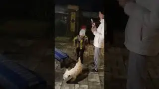 Встречаем по ЛЮДСКИ 🏠🔥🌿💯❤️...