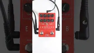 Flamma FS22 Ekoverb!