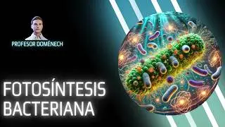 The Magic of Bacterial Photosynthesis EXPLAINED in 10 Minutes!