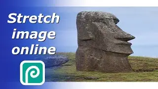 Stretch images online in Photopea | Free transform tool in Photopea