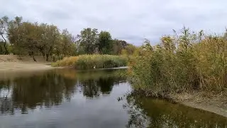Падают листья. Юрий Шатунов.