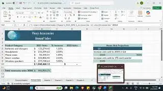 Excel 2019 | Module 5: End of Module Project 1 Flexy Wireless Communications 