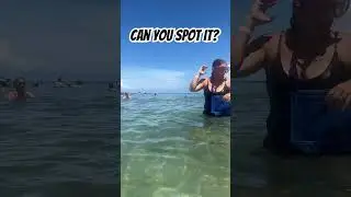 Can you see it?