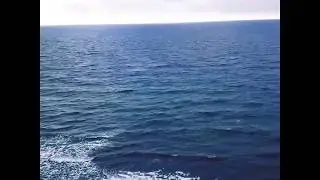 Прогулка по берегу моря