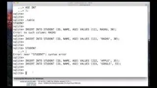 Introduction to SQLite Rows
