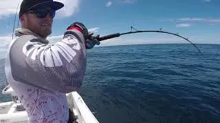 Fast Jigging Tutorial | Fisho App
