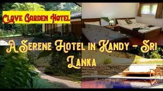 🌞 🏖️  Clove Garden Hotel, Kandy, Sri Lanka |  Spend Your Vacation with all inclusive holidays.