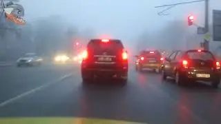 Новая рыбка в моем аквариуме, скат моторо