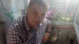логика и эмоции как это работает