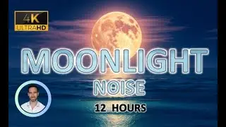 Calming Moonlight Noise 🌕 for Rapid Deep Sleep | 12 Hours | BLACK SCREEN | Tinnitus & Anxiety Relief