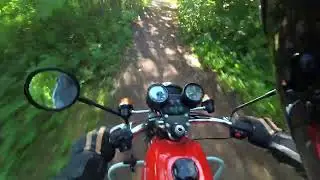 Дикий путь #мотоцикла #jawa в #лесу  #jawa350piter #ява350питер #ява