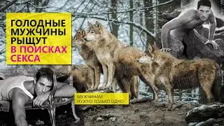 Мужчины рыщут как голодные волки в поисках секса