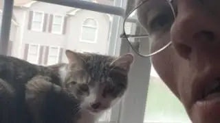 Spontaneous Livestream With Milo