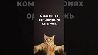 #рек #лол #врек #меме #ржака #ядколер_ #тикток #тренд #рекомендации #мем