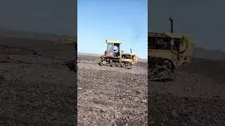 ДТ-75МЛ Казахстан на закрытии влаги