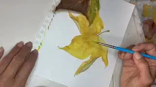 Leaf Layers