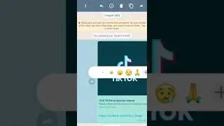 Whatsapp Tips