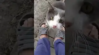 ЛОВУШКА ДЛЯ ПЧЕЛ СРАБОТАЛА