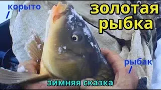 Зимняя рыбалка на карпа. Оттепель. 30.12.2022 г.