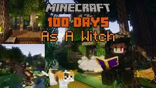I Spent 100 Days WITCH in Minecraft!
