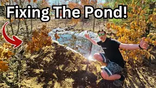 Fixing My Mini Fish Pond! 🐟🐠