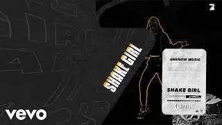 Unknow Music - Shake Girl