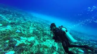 Molokini dive in Maui saw a big mantis gopro hero red lens scuba