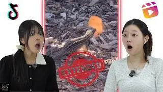 Koreans React to Memes That Cure Depression Extended v2 | CY