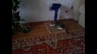 Всегда есть выход :)