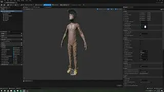 Ape Model Presentation