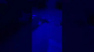 My cat Farted...