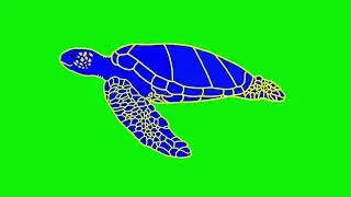 Sea Turtle Animation - Greenscreen