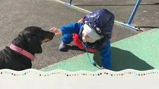 Первая прогулка