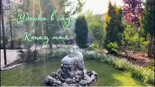 Уборка в саду после отпуска. Что происходит с растениями? 🤔