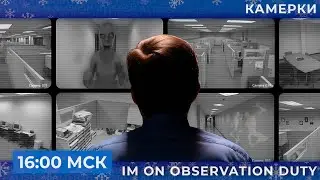 Следим за домом чатика I'm on Observation Duty 2: Timothy's Revenge  | Запись стрима