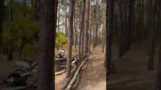 15 октября 2023 г.