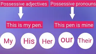 Possessive pronouns and Possessive adjectives. Definitions with example sentences.