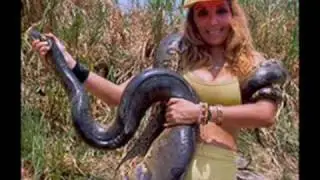 anaconda attack ataque de anaconda